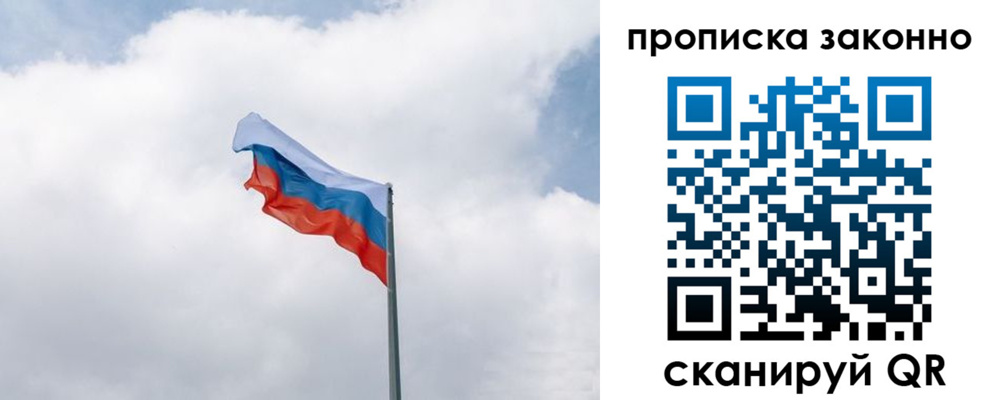 прописка поиск в Электростали